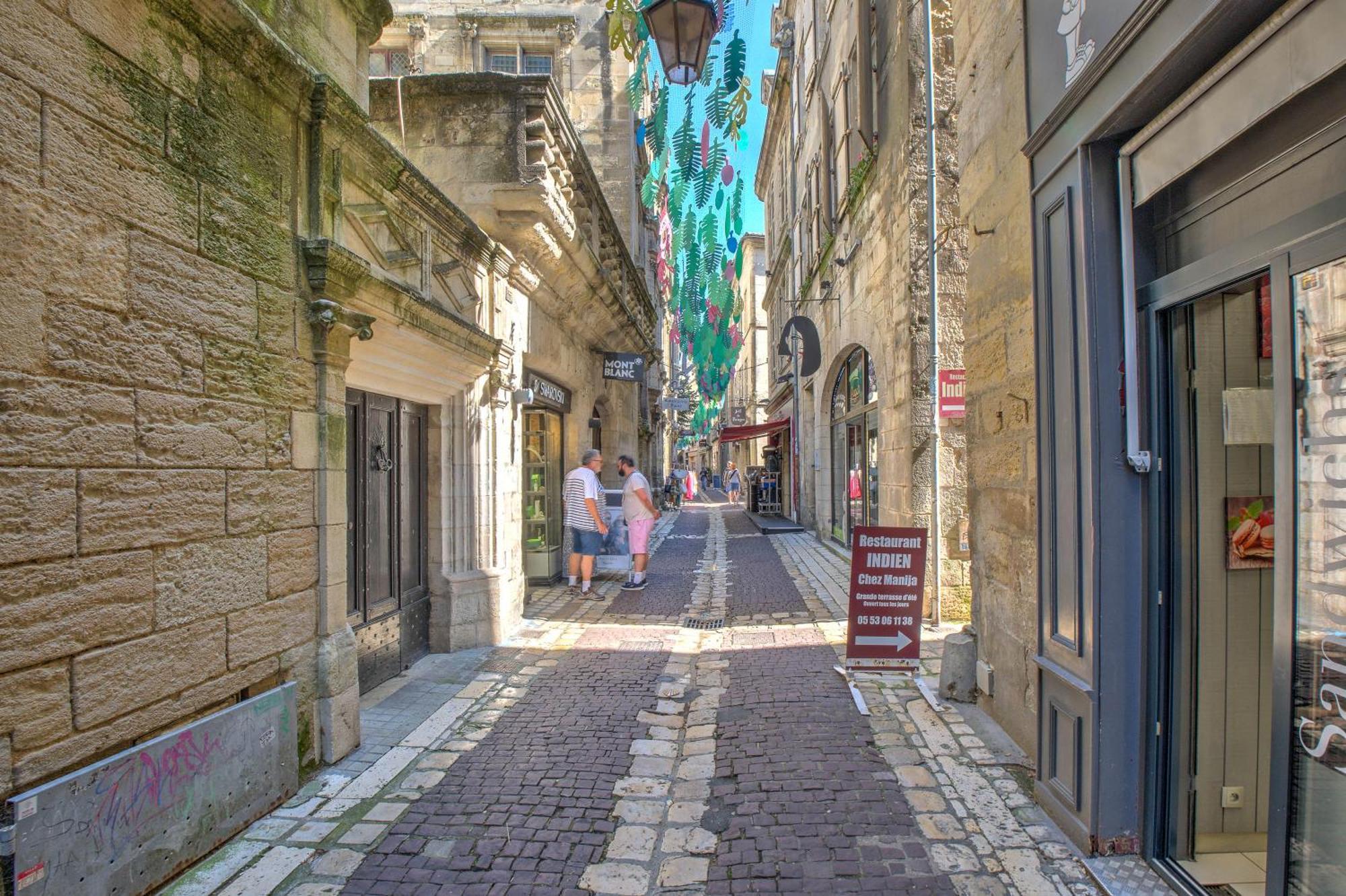 Apparts Limogeanne - Clim - Centre Historique Perigueux Ngoại thất bức ảnh